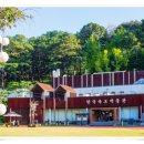 역사문화(효월드) 이미지