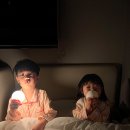 이불스토리 | 포렌 이불 내돈내산 후기 (독자 신소재 장점, 구름이불 실사용 스토리, 5월 세일 정보)