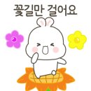 달콤 이미지