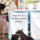 법륜스님의 희망편지 - 나쁜 성질을 고치고 싶어요 이미지
