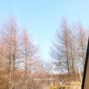 대관령 목장길펜션 | 평창- 독채 펜션, 대관령 목장길 펜션