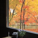 아련한 추억이 떠오를때 듣는 노래 모음 이미지