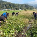 사리면사무소 이미지