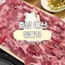 금오초등학교 | 충남 예산 고기 맛집 &lt;일품가&gt; | 메뉴, 가격, 주차 등