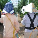 이레메탈 이미지