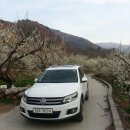 폭스바겐/뉴 티구안 2.0TDI/2012/화이트/17000KM/정식수입/3900만원/광주 통일모터스 이미지