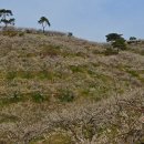 대화농장 이미지