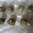 동물병원도담도담 이미지