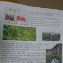 꿈이익는영농조합법인 이미지