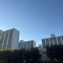 강남수서부동산중개사무소 이미지