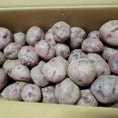 조미영농장 이미지