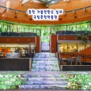 치미미술 | 춘천 가볼만한곳 실내 관광지 국립춘천박물관 시내 볼거리