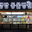 어썸펫 동물병원 이미지