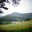 노송목장 이미지