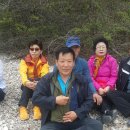 변산초등학교 이미지