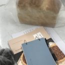 비상백신학원