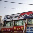 용인대 안산 타이거즈 태권도장 이미지