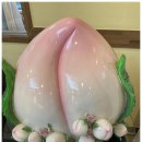 혜민한의원 이미지