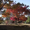 충남 아산시 염치읍 현충사 이미지