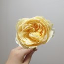 시현화플라워 | 송도꽃집 시현화플라워 꽃다발 대만족 후기