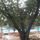 갈릴리농장 이미지