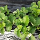 안이하우스 이미지