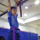 비룡태권도체육관 이미지