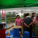 면민운동장 이미지