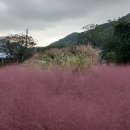 다정다감하게 익어가는 이 가을에 이미지