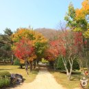 에코목장 이미지