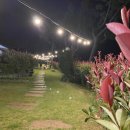 공간속의집 이미지