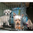 만수동물병원 이미지