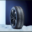 네바퀴타이어 이미지