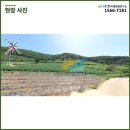 태양광발전소 부지조성 네이버블로그