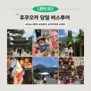 현농장2 | [후쿠오카 버스투어] 후쿠오카 잇쇼니 투어 다자이후-유후인-히타 당일 버스투어, 내돈내산 후기