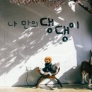슈슈멍 이미지