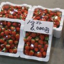 풍천상회 이미지