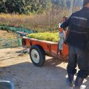 기봉농장 이미지