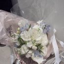 비올라 | 칼라디움웨딩 비올라홀 본식 후기 (본식 : 25. 12. 06)