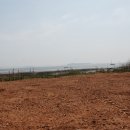 메추리 펜션 이미지