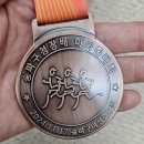 한성에어로빅 | 20241117 제10회 한성백제 마라톤 대회 10km 후기 + 순위 추가