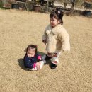 킹콩이농장 이미지