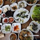 횡성 서초휴양소 Daum카페