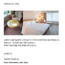부산롯데호텔사우나 | [부산/서면] 🛌 롯데호텔 - 슈페리어 더블 숙박 후기 + 아쿠아헤이븐 이용 후기 ✨
