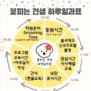 꽃피는견생 인천애견유치원 이미지