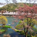 고남저수지 이미지