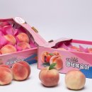 남산 마을회관 앞 이미지