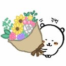 꿈을 키우는 한자급수 도전 | [리뷰/책] 별을 만드는 사람들(김성현 인터뷰집)