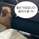 구룡가스 이미지