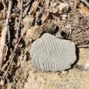 북성저수지 이미지